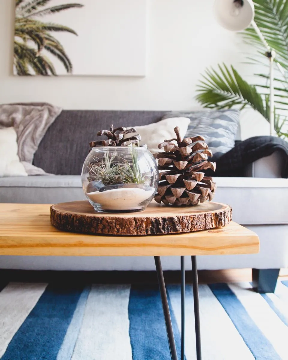 Salontafel met een blad van een boomschijf